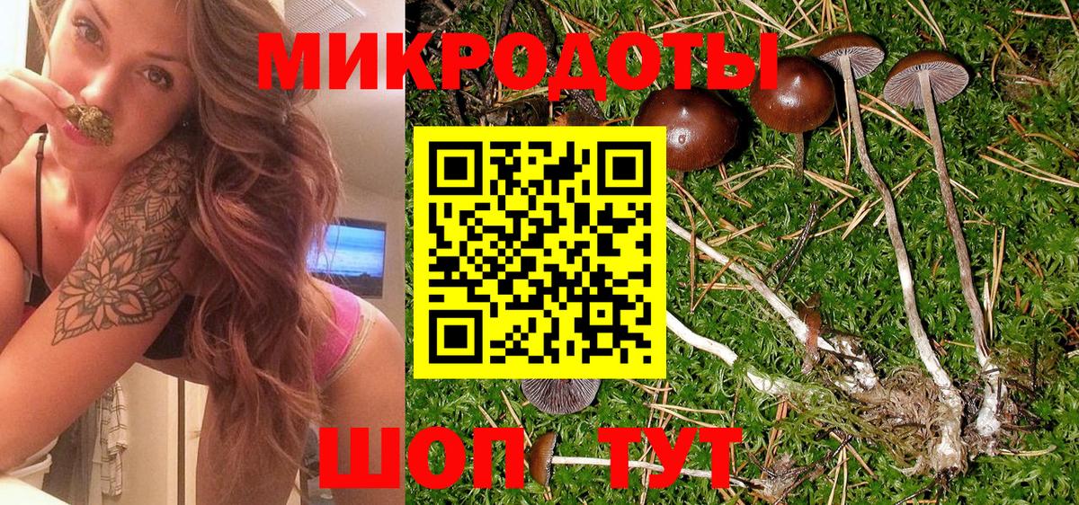 цена наркотик  Вход с VPN  Сальск  Псилоцибиновые грибы мухоморы 