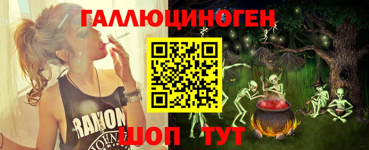 Галлюциногенные грибы Psilocybine cubensis Сальск